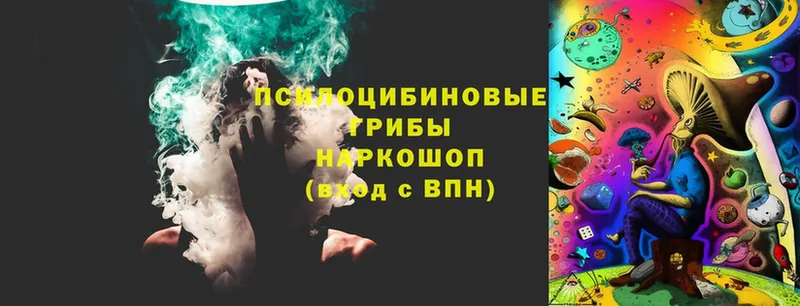 Галлюциногенные грибы Magic Shrooms  Лыткарино 